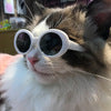 Load image into Gallery viewer, Pet Dog Cat Multi-color Sunglasses Cool Handsome Accessories