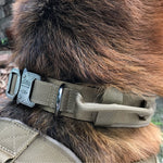 Load image into Gallery viewer, Dog collar