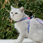 Load image into Gallery viewer, Pet Cat Bell Chest Strap Haulage Rope Package Vest Small Dog Teddy Leash