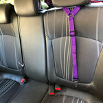 Load image into Gallery viewer, Solid Two-in-one Pet Car Seat Belt Lead Leash BackSeat Safety Belt Adjustable Harness For Kitten Dogs Collar Pet Accessories