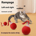 Load image into Gallery viewer, Interactive Cat Toy Ball Super Drive Cat Rolling Ball