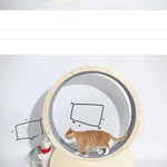 Load image into Gallery viewer, Special Toys For Cat Treadmill Roller