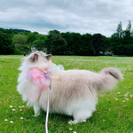 Load image into Gallery viewer, Butterfly Flying Pet Leash Retractable And Break Free