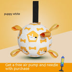 Load image into Gallery viewer, Dog Interactive Football Toys Children Soccer Dog Outdoor Training Balls Pet Sporty Bite Chew Teething Ball With Cute Printing