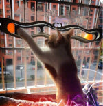 Load image into Gallery viewer, Windowsill Pets Toy Cat Track Ball Pet Products