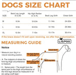 Load image into Gallery viewer, Acl Knee Pad Hip Dysplasia Joint Pain Relief Protective Gear Strap