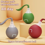 Load image into Gallery viewer, Interactive Cat Toy Ball Super Drive Cat Rolling Ball