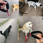 Load image into Gallery viewer, Small Medium Sized Pet Dog Luminous Leash Chain Puppies