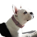 Load image into Gallery viewer, Medium Bell Anti-lost Pet Collar