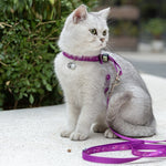 Load image into Gallery viewer, Pet Cat Bell Chest Strap Haulage Rope Package Vest Small Dog Teddy Leash