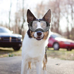 Load image into Gallery viewer, Pet Glasses Large Dog Full Package Eye Protection Windproof Rain And Snow
