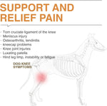 Load image into Gallery viewer, Acl Knee Pad Hip Dysplasia Joint Pain Relief Protective Gear Strap
