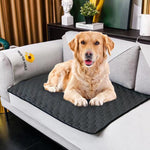 Load image into Gallery viewer, Waterproof Dog Mats Water-absorbing Dog Diaper Changing Mat Training Reusable Pet Changing Mat AntiSlip Mat Carpet Absorbent Mat
