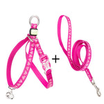 Load image into Gallery viewer, Pet Cat Bell Chest Strap Haulage Rope Package Vest Small Dog Teddy Leash
