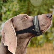 Anti-biting Reflective Big Dog Muzzles For Medium Large Dogs Siberian Husky Golden Retriever Adjustable Pet Mouth Cover