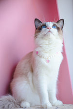 Load image into Gallery viewer, Pet Cat Beads Love Necklace
