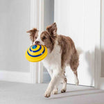 Load image into Gallery viewer, Sounding Disc Woof Glider Soft &amp; Safe Indoor Pet Dogs Play Toy Pets Unique Interacts Entertainment Toys
