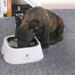 Load image into Gallery viewer, Non-wet Mouth Dog Bowl, Floating Bowl, Anti-overturning
