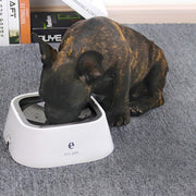 Non-wet Mouth Dog Bowl, Floating Bowl, Anti-overturning