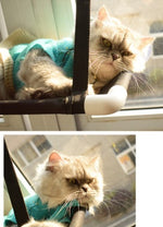 Load image into Gallery viewer, Cat bed cat hammock cat hammock window sill single layer double layer super suction cup cat cushion nest cat litter pet
