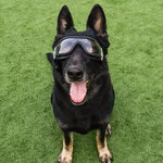 Load image into Gallery viewer, Large dog-ink sunglasses
