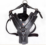Load image into Gallery viewer, Genuine Leather Dog Harness
