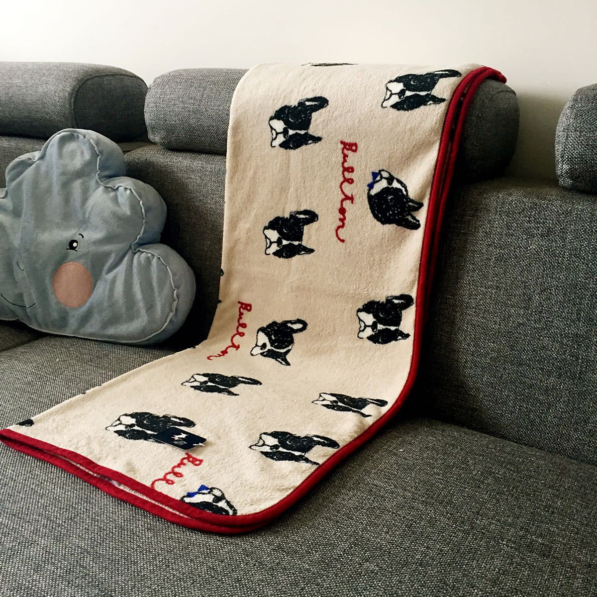 Cute farley blanket