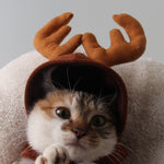 Load image into Gallery viewer, Teddy Dog Cat Antlers
