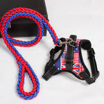 Load image into Gallery viewer, Dog leash dog leash chest strap
