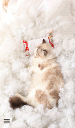 Load image into Gallery viewer, Closed removable and washable cat litter
