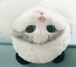 Load image into Gallery viewer, Panda costume pet hat
