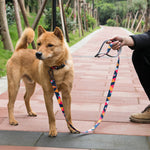 Load image into Gallery viewer, Pet supplies dog leash

