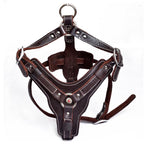 Load image into Gallery viewer, Genuine Leather Dog Harness
