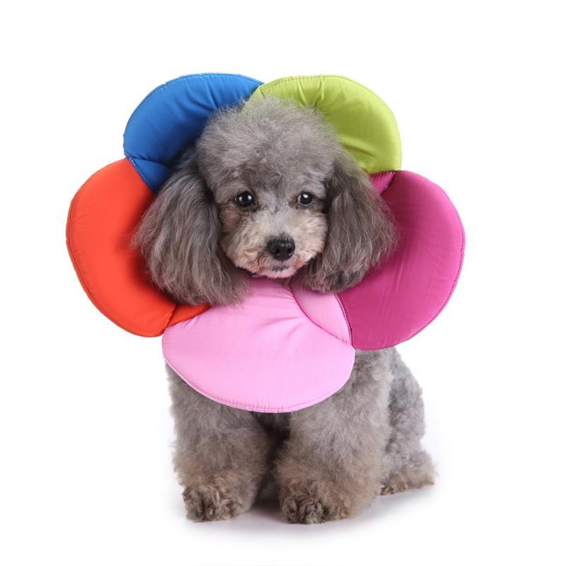 Pet protection collar collar flower protection collar pet grooming kits dog bite ring birth control
