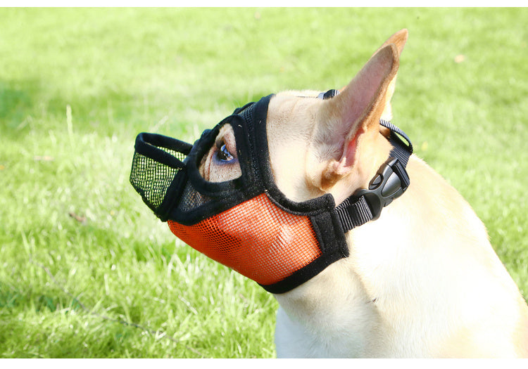 Fadou puppy mouth cover anti bite and bark eating mask