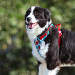Load image into Gallery viewer, Dog leashes dog chain vest vest straps
