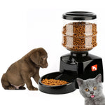 Load image into Gallery viewer, Timing Intelligent Automatic Feeder Snack Pet Supplies

