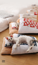 Load image into Gallery viewer, Closed removable and washable cat litter
