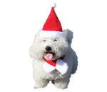 Load image into Gallery viewer, Newest Christmas Hairband For Pet Dog Cat Funny Elk Reindeer Antlers Red Puppy Headwear
