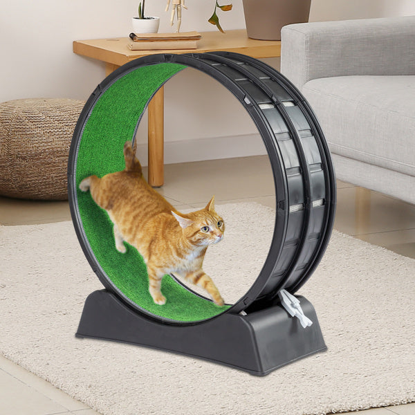 Black Plastic PP Splicing Type With Green Carpet 10kg Cat Treadmill