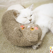Sleeping Companion Cat Sleeping Cat Mat Sansheng Meow Pillow