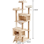 Load image into Gallery viewer, Cat Crawl Nest Scratching Board Tree Supplies Pet Toy Space Capsule

