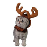 Load image into Gallery viewer, Teddy Dog Cat Antlers
