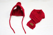 Tide pet clothes dog hat bib suit Teddy Bomei wool scarf autumn winter hat pet scarf