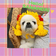 Pomeranian Teddy Dog Funny Cat Headgear