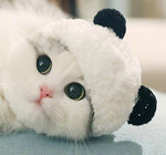 Load image into Gallery viewer, Panda costume pet hat
