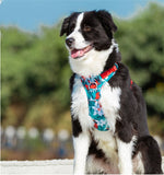 Load image into Gallery viewer, Dog leashes dog chain vest vest straps

