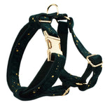 Load image into Gallery viewer, Pet Collar Dog Fabric Velvet
