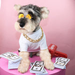 Load image into Gallery viewer, Pet Necklace Bead Chain Pet Jewelry
