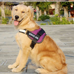 Load image into Gallery viewer, Labrador dog harness leash
